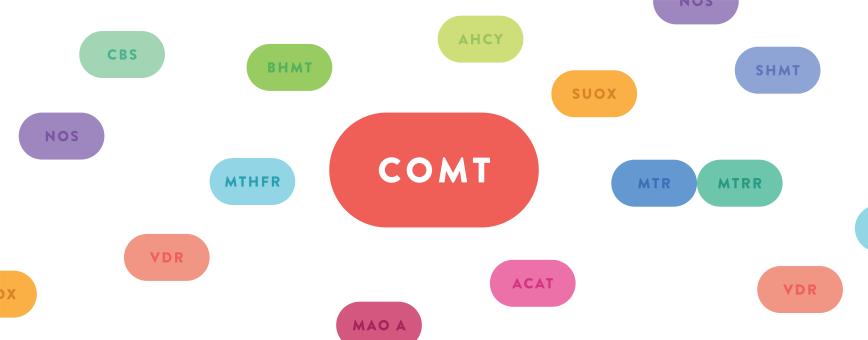 COMT gene illustration