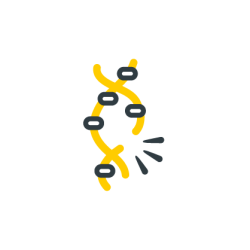 DNA Oxidative Damage Test