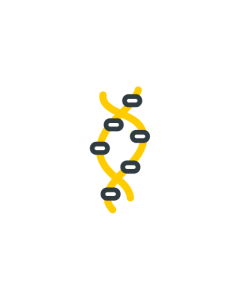 DNA Nutrigenomic Test with Methylation Pathway Analysis