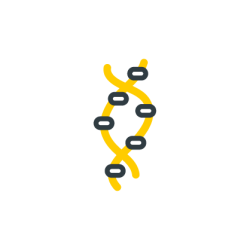 DNA Nutrigenomic Test with Methylation Pathway Analysis